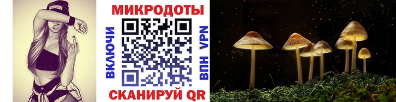 Псилоцибиновые грибы Psilocybe  Томилино 